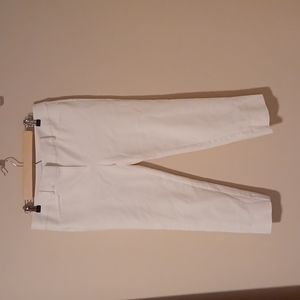 Loft ankle pant